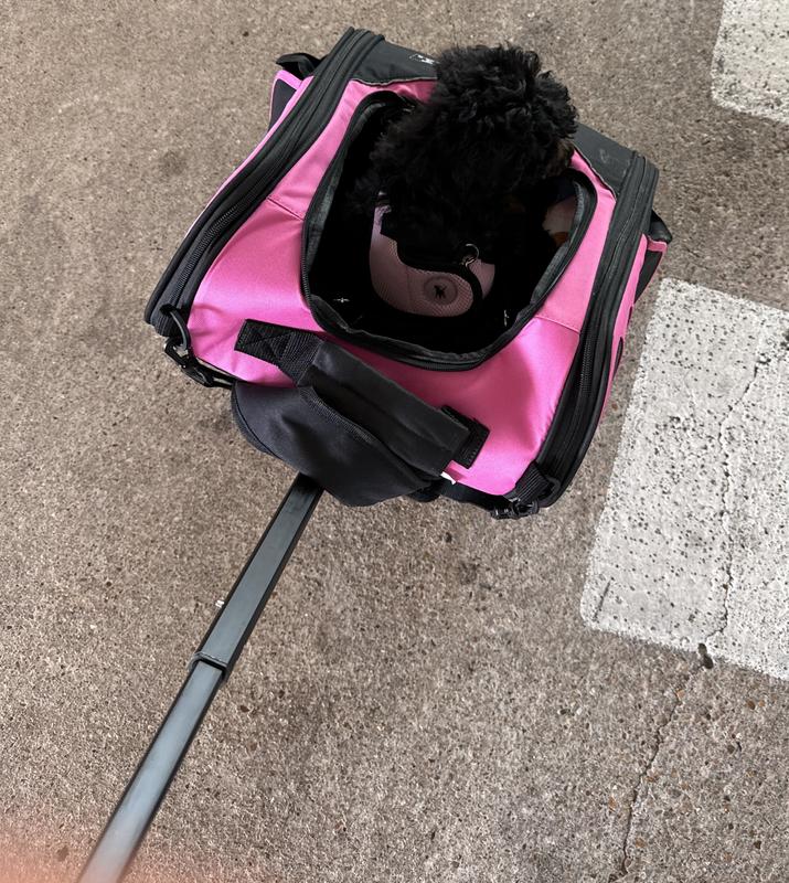 Trucking to the airport.