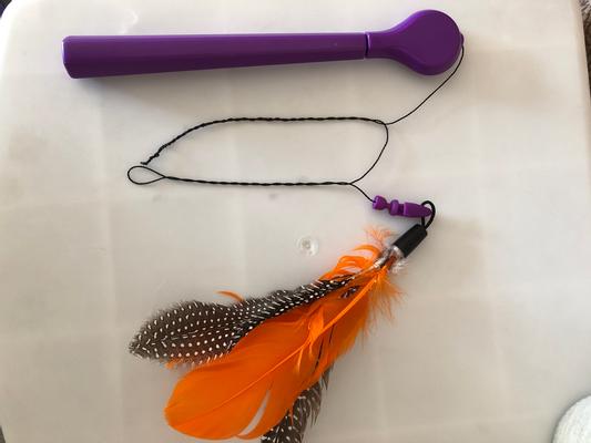 JACKSON GALAXY Air Prey Wand Teaser Cat Toy Color Varies reviews Chewy