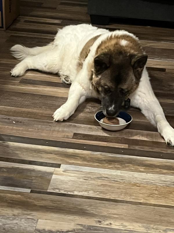 Gave in- woofed it all