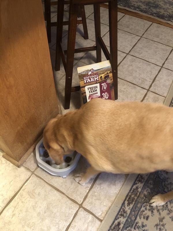 Supper time!