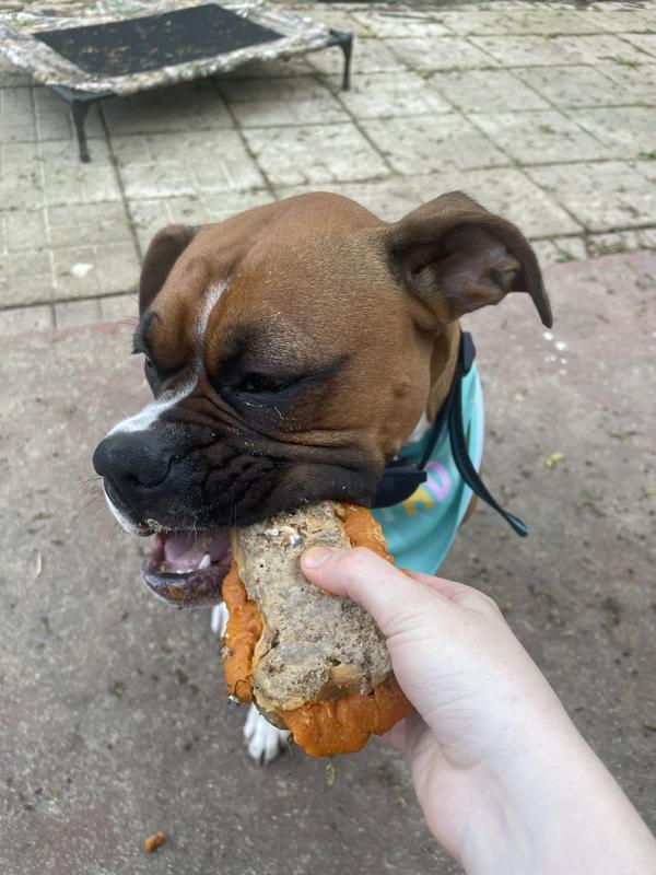 Tinkerbell loooooooved this cake!!!