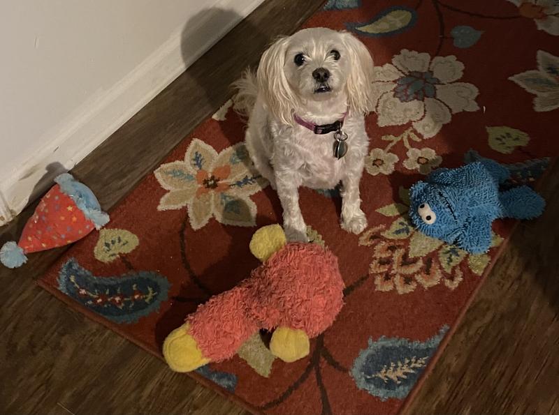 Sophie and Penny