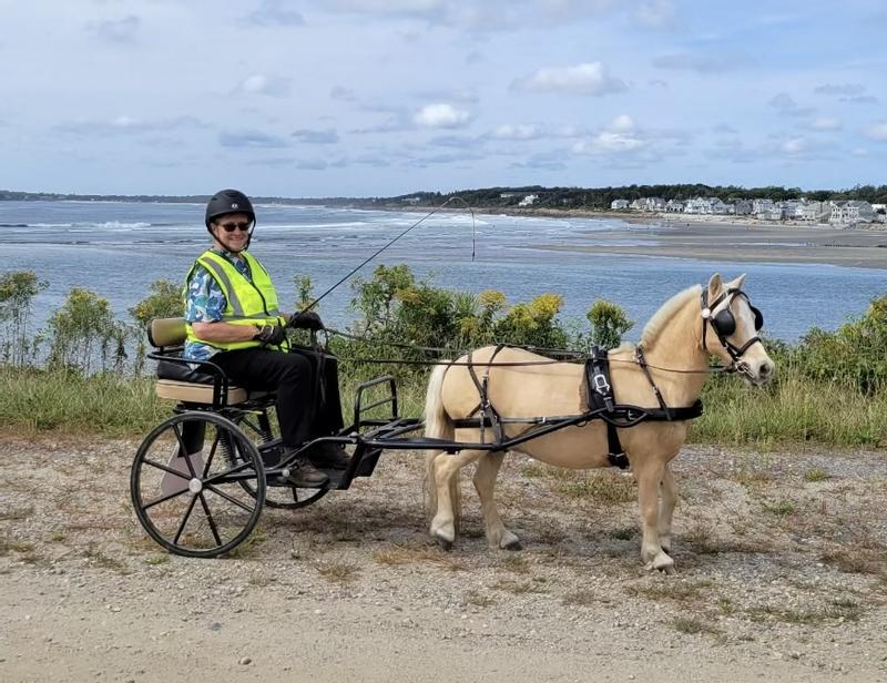 Pleasure drive in Maine