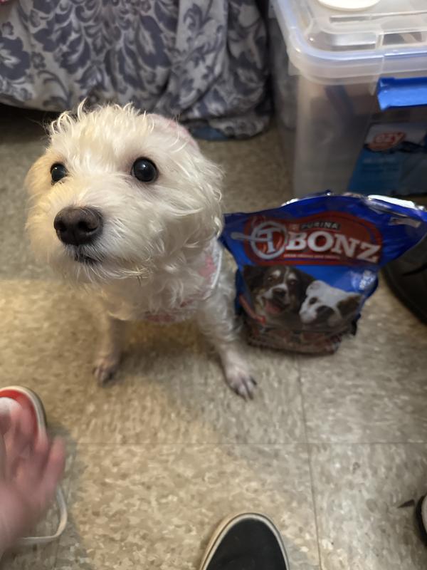 She wanted to eat it more than posing