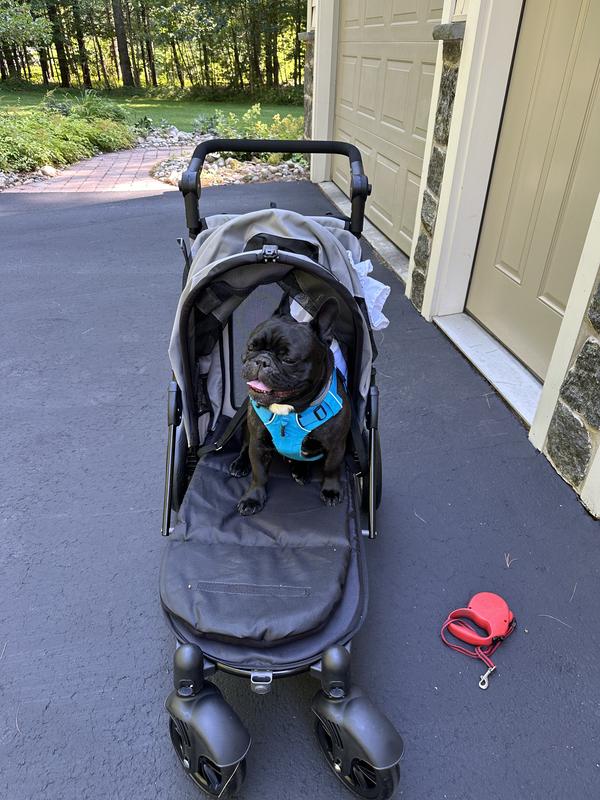 PET GEAR Excursion NoZip Dog & Cat Stroller, Mountain Lilac