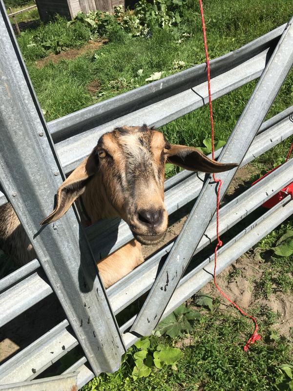 Mercy Me who is Octavia’s roommate