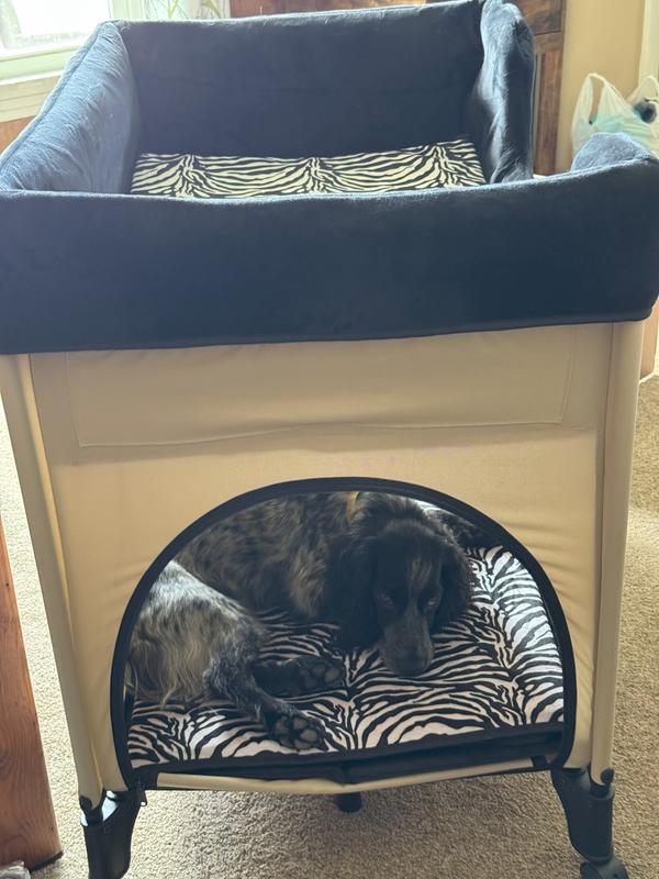 PETIQUE Bedside Lounge Elevated Dog Bed, Zebra Vibes - Chewy.com