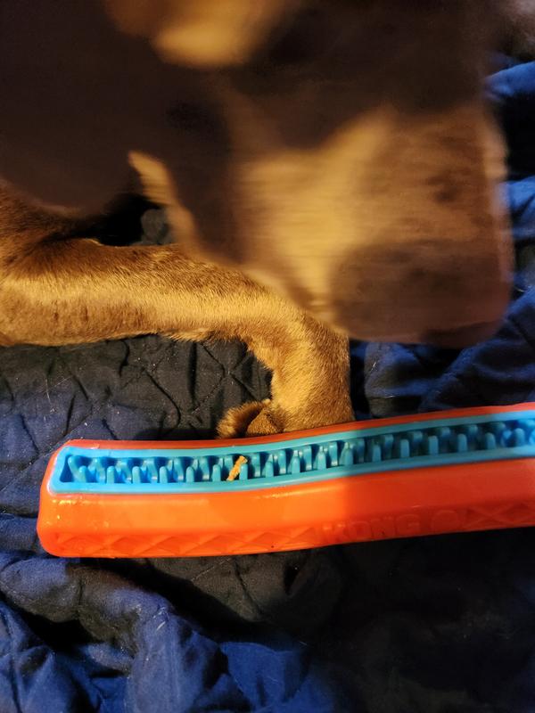 This is a sliver of a dehydrated piece of dog food and it was a tight fight.