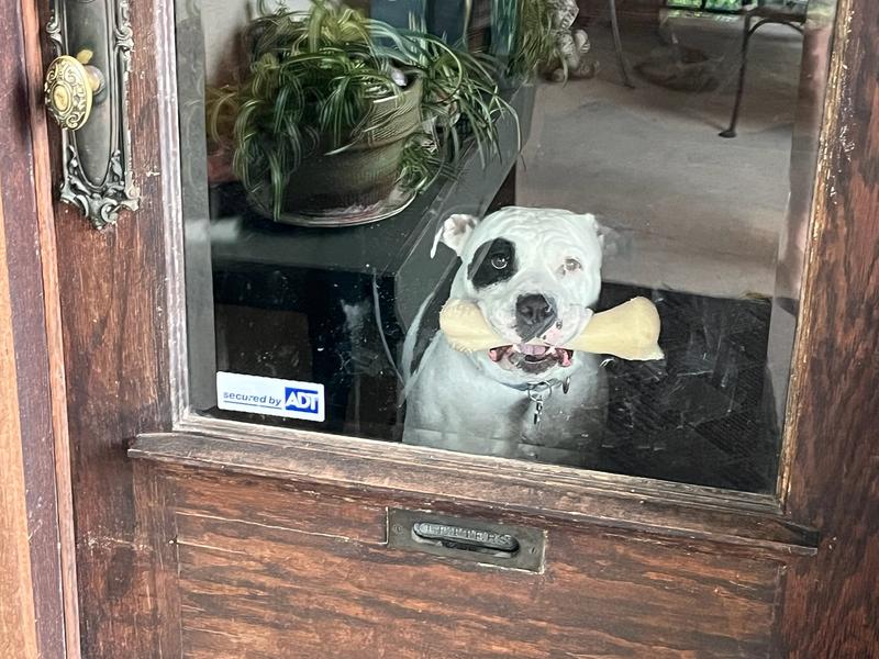 You're home; yay!!!!!!