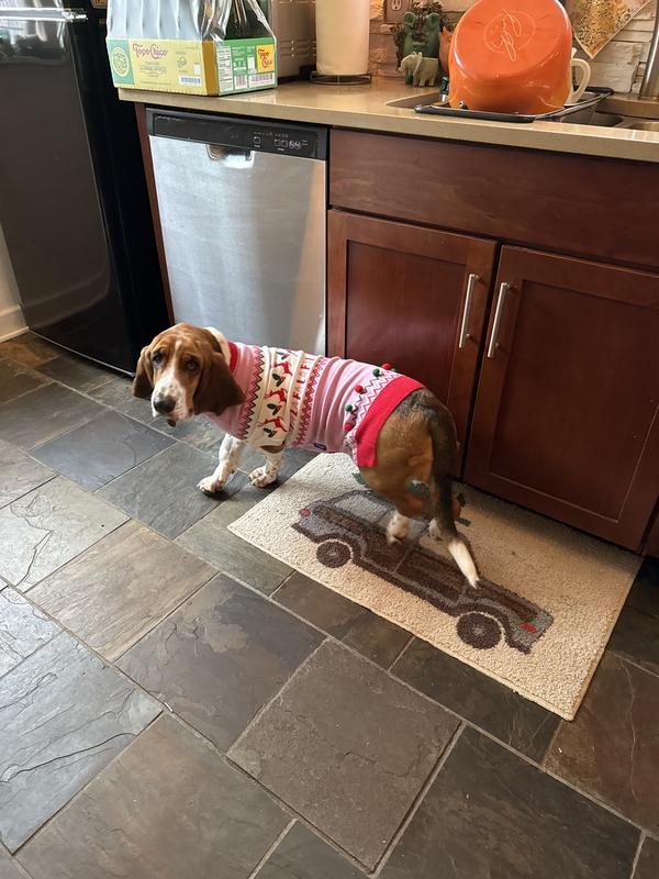 Looking cute in my Christmas sweater