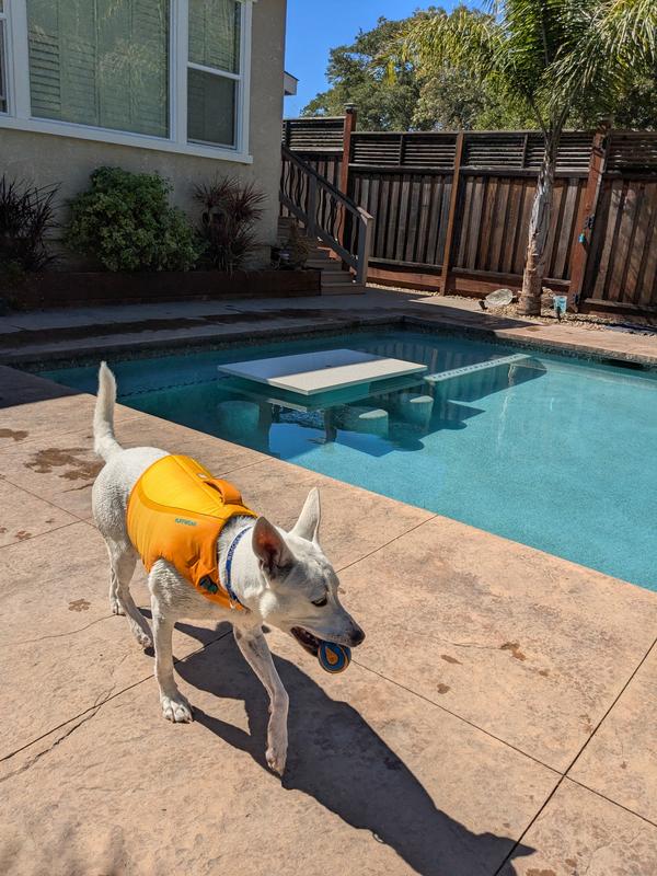 No issues running around!