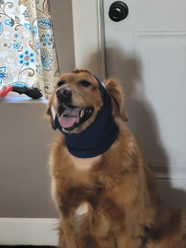 HAPPY HOODIE Calming Cap for Dogs, Purple, Small