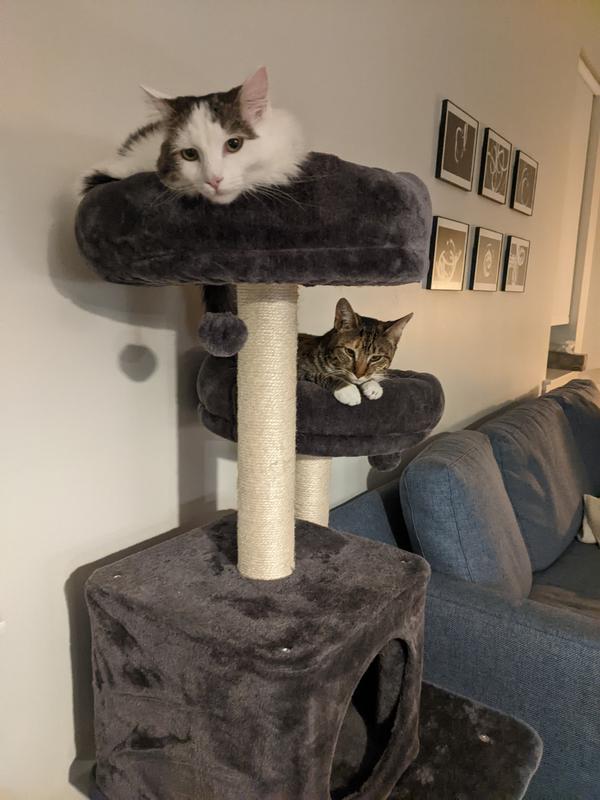 FRISCO 55-in Faux Fur Cat Tree & Condo, Dark Charcoal - Chewy.com