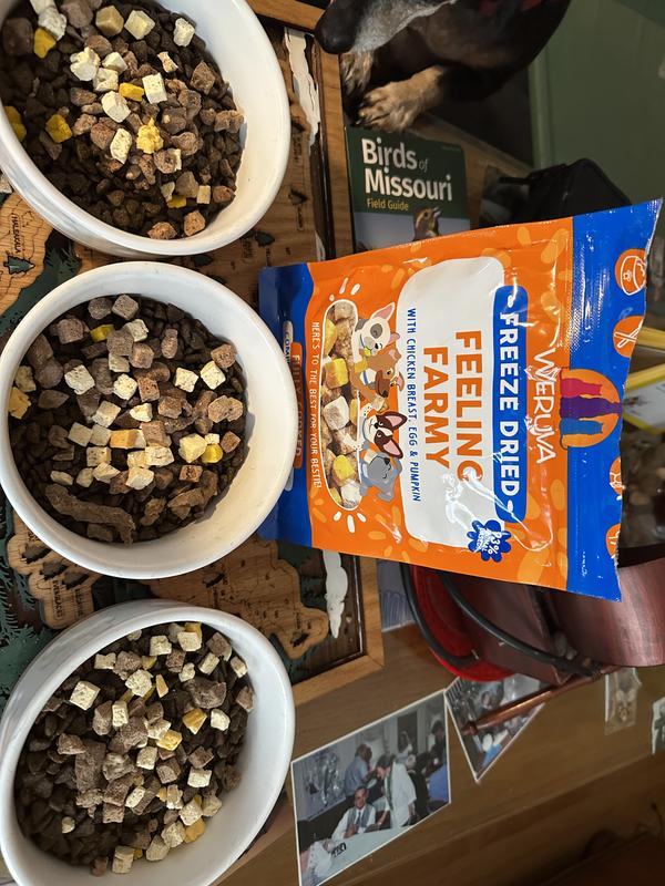 Getting ready, get set, go!