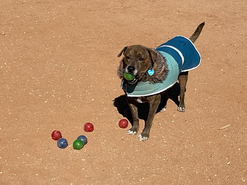Yo can never have enough Kong Balls