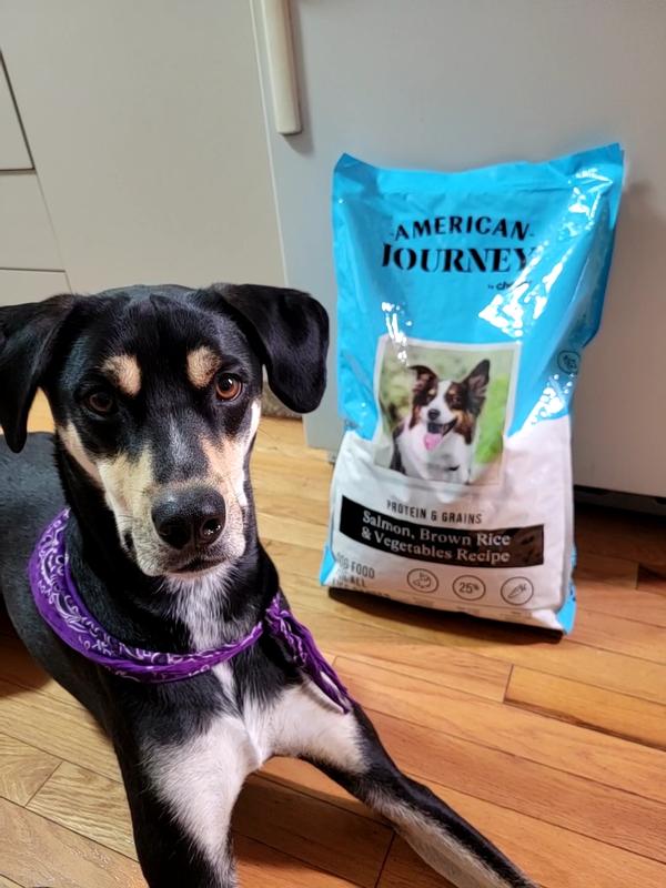 American journey dog food canada sale