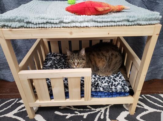 Enjoying the enclosure of the bottom. Top cat is 9.2lbs, bottom cat is 9.8 lbs.