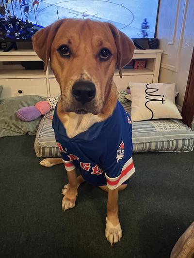Willow in her rangers jersey