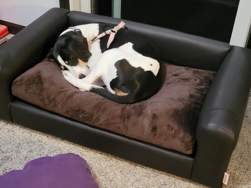 MOOTS Premium Leatherette Sofa Removable Cover Orthopedic Elevated Cat