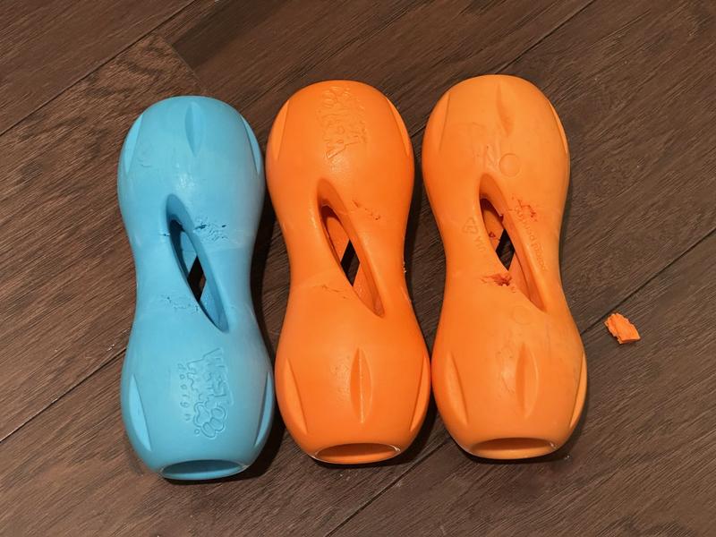 Spegazzini Coccoloさん専用 Spegazzini Coccoloさん専用 1200x630.jpg