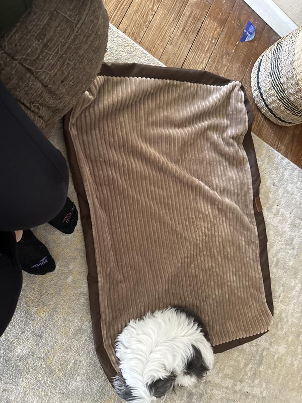 Cover still looks brand new after wash and dry!