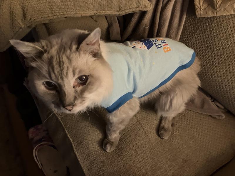Indigo’s 18th birthday!