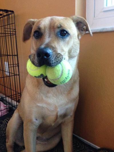 Loves Tennis!