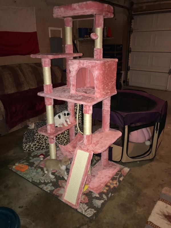 YAHEETECH MultiLevel 63in Plush Cat Tree, Beige