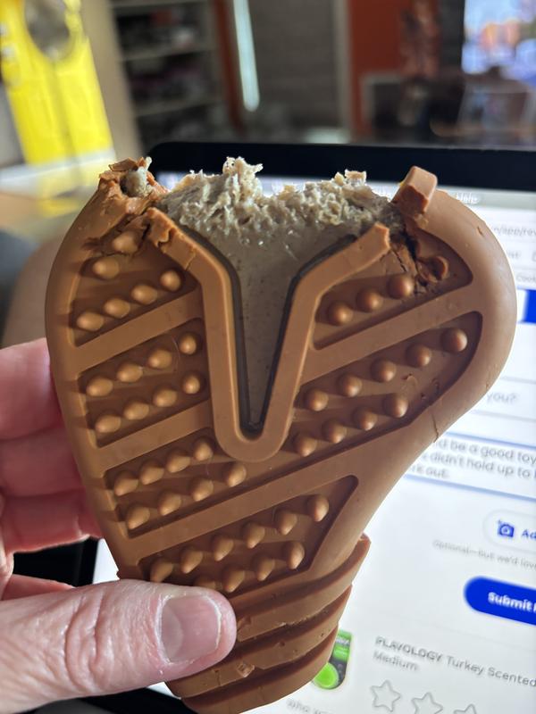 Not for a heavy chewer.