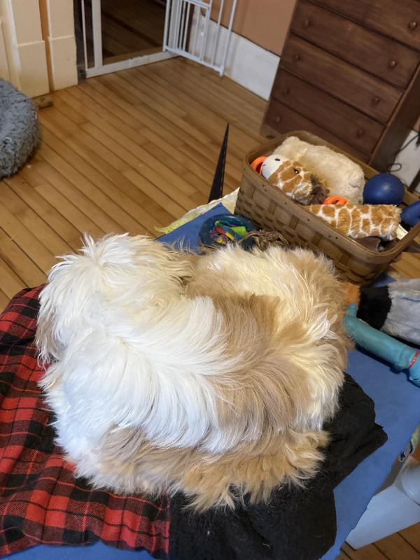 Sleeping after her bath…