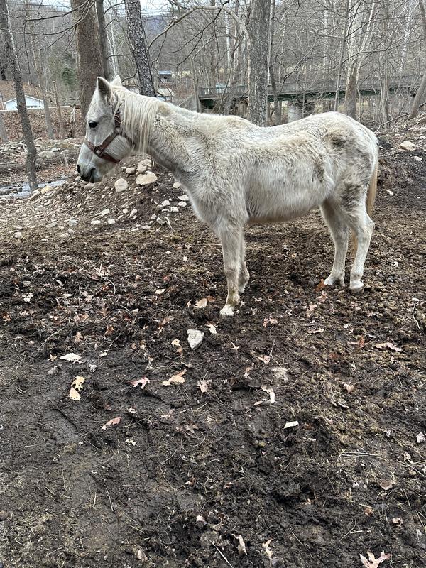 Running for new treat bag.