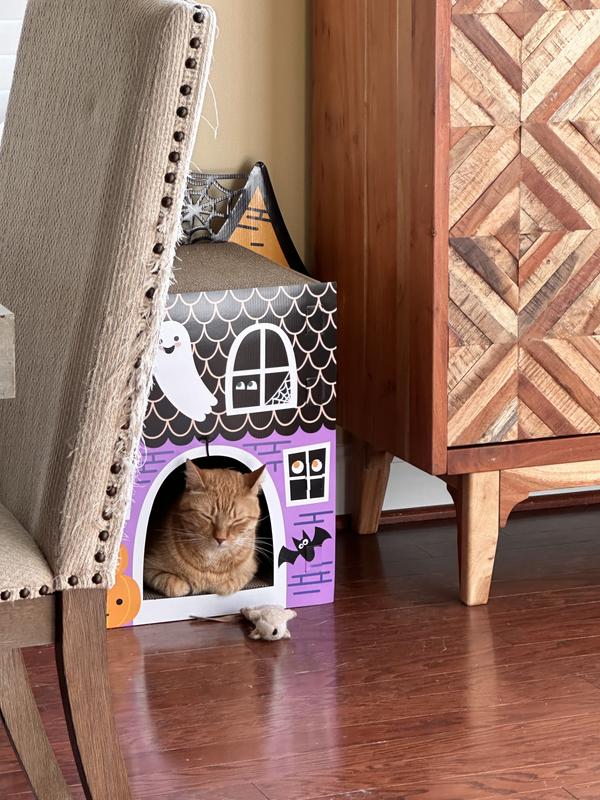 Cat fits inside cardboard Victorian house.