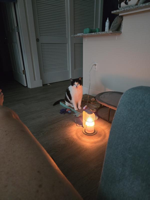 Ernie Moo was enjoying the glow and the tropical scent.