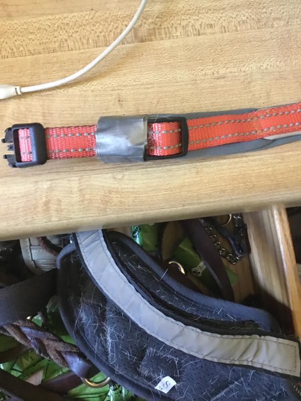 CollarDirect Airtag Dog Collar