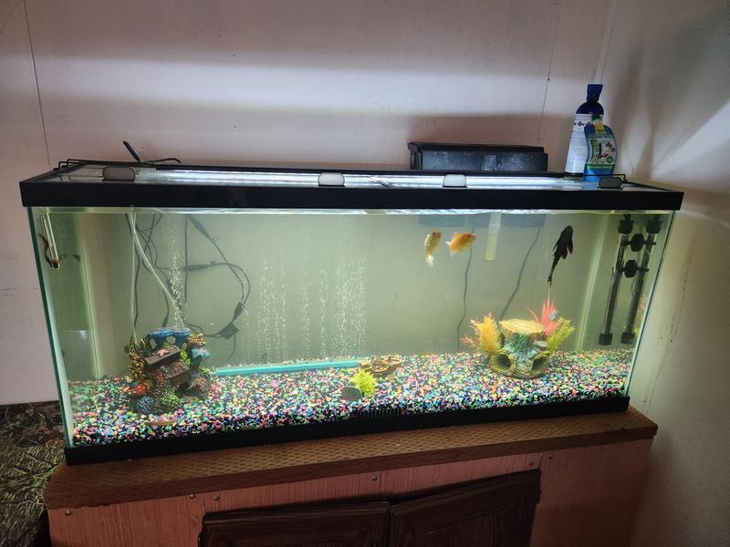 My 55 gallon aquarium with a 36 inch light that can fit 48 inch aquarium.