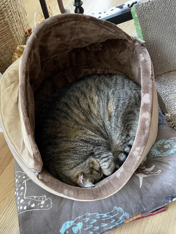 K&H PET PRODUCTS SelfWarming Hooded Cat Bed, Chocolate/Tan, Small