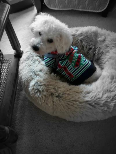 Leave me alone.  I'm having my Blue treat.