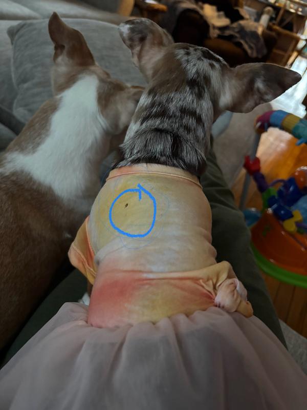 Very cute. Unfortunately came with a spot/stain.