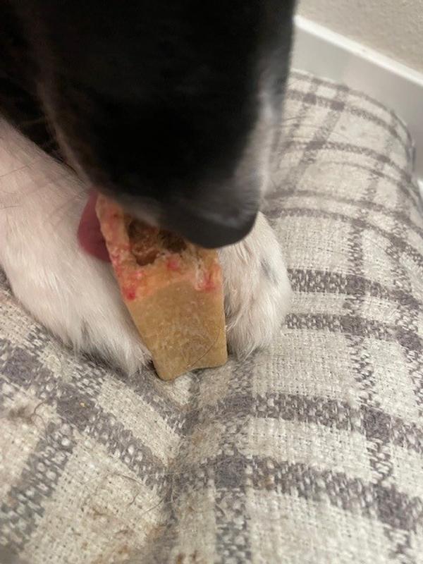 You can see some of the blood on the bone from her gums.