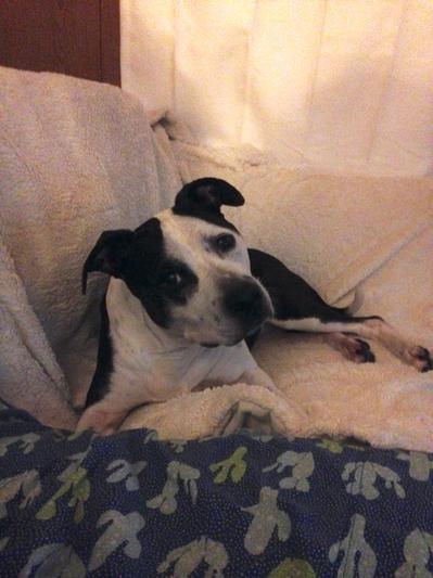 Lunabela looking pretty