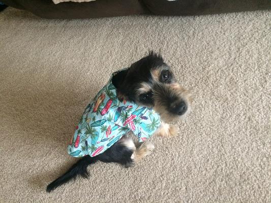 Maxwell is ready for summer