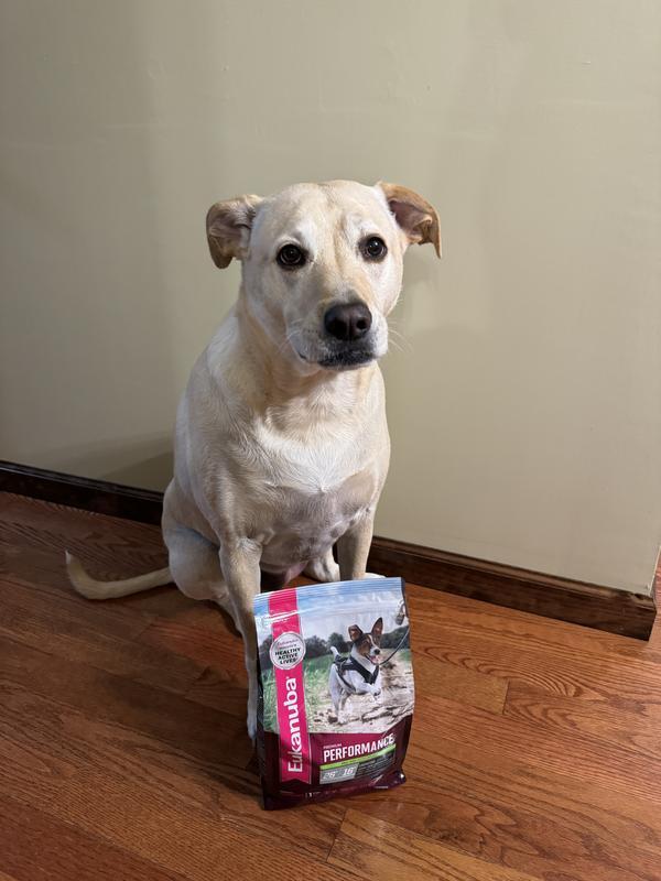 50lb Mix next to bag of food for size comparison