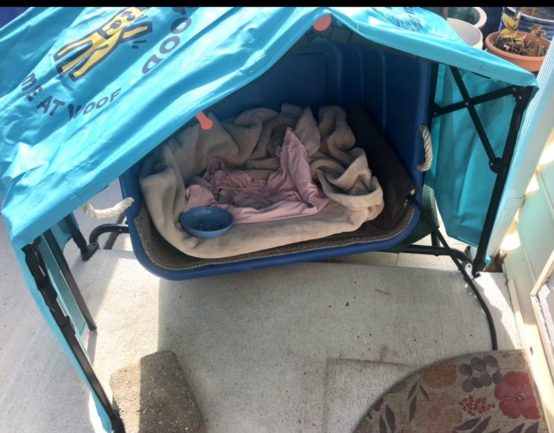 Cheap tote from good will,  cats love it.  Go figure