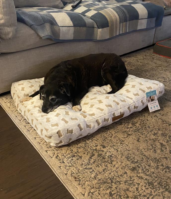 She looks a little uncomfortable