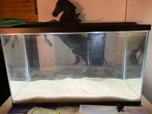 5 Lbs White Zen Garden Sand, Terrariums, Therapy Sand, Incense Burner