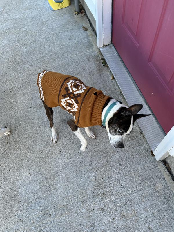 FRISCO Western Pattern Dog Cat Sweater, XX-Large