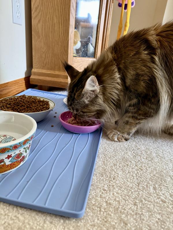 One of my pickiest critics.