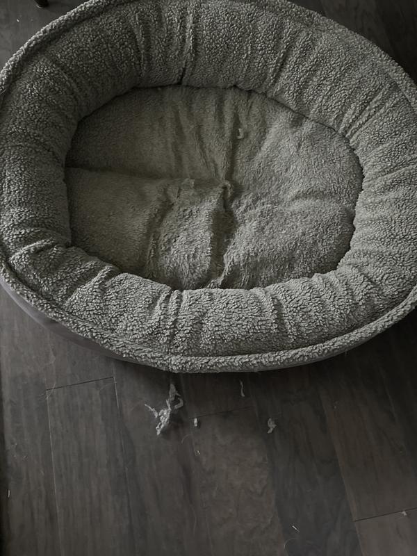 Hard to see shedding but prevalent