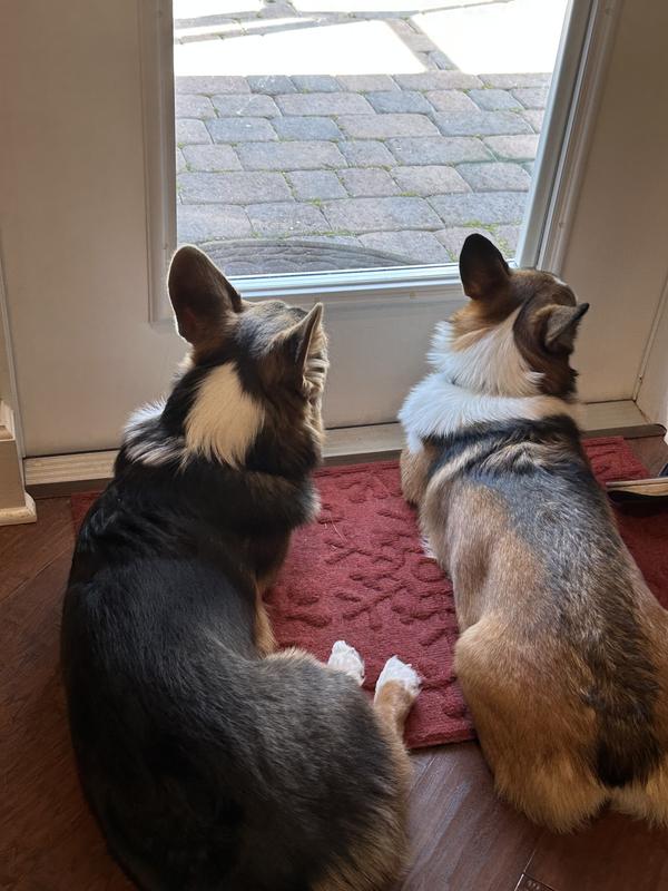 Contently observing the world!