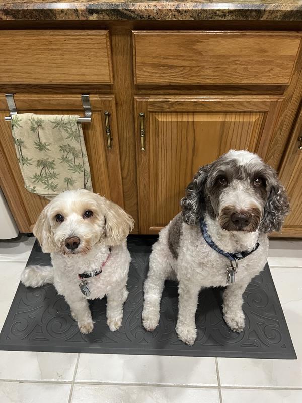 Tiki & Lani waiting for dinner